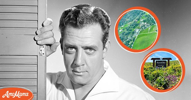 Portrait of Raymond Burr as the lawyer Perry Mason on January 1, 1957 [left]Aerial view of Raymond Burr Vineyards [top right]A picture of the signage at Raymond Burr Vineyards [bottom right] |  Source: Getty Images, Facebook.com/raymondburrvineyards 